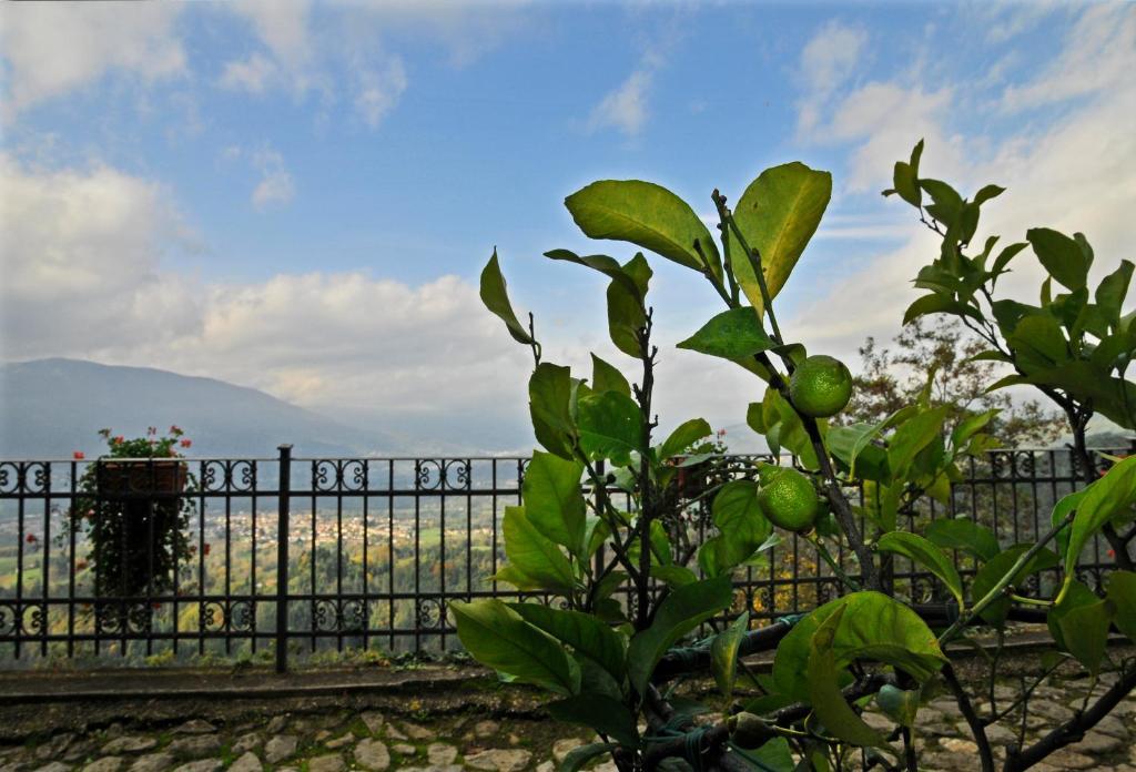 Casa Vacanze Le Muse Sillico Villa Pieve Fosciana Exterior photo